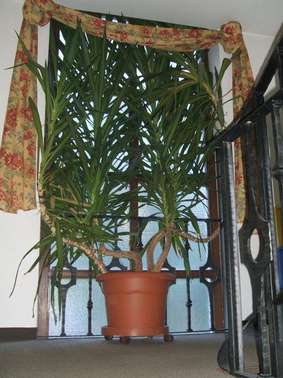 קמפו טורס Residence Wiesenhof מראה חיצוני תמונה